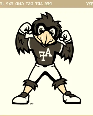 Air Force Falcons Eugene
