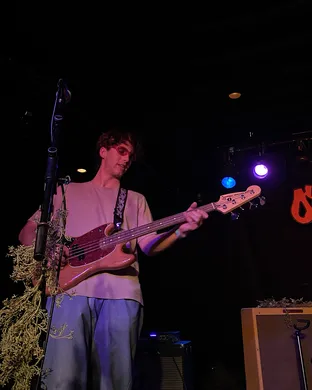 The Moss Eugene