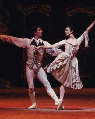 Swan Lake - Symphony of Lights